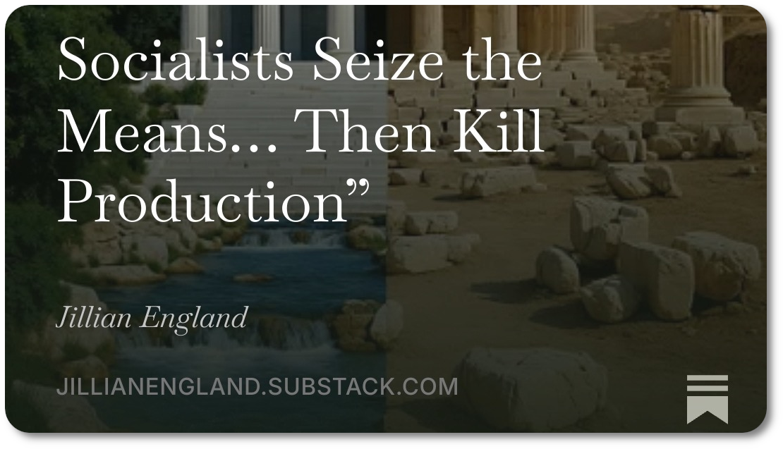 Socialists Seize the Means… Then Kill Production